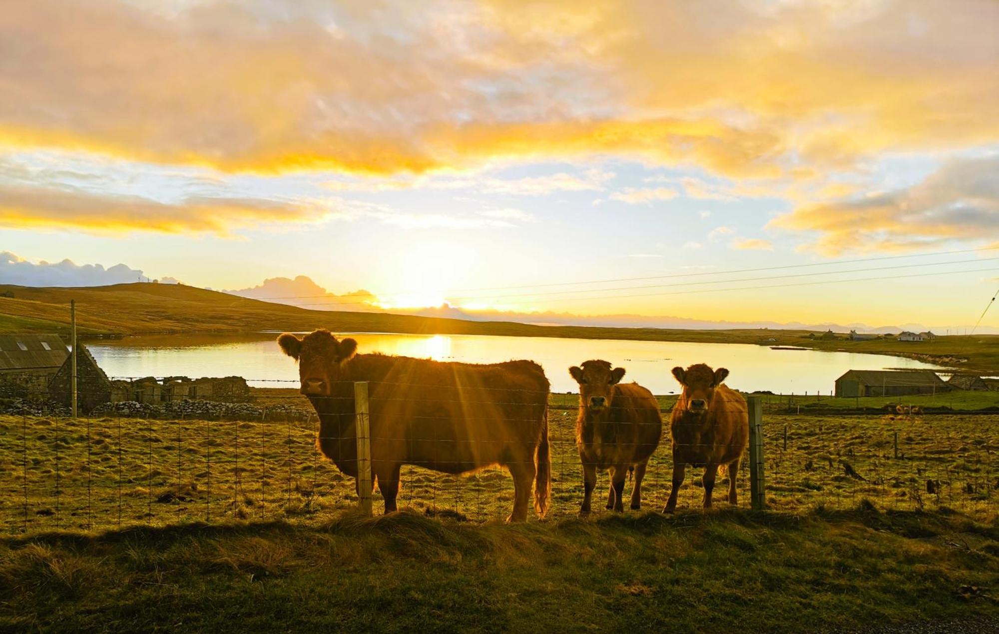 North Uist Lodges Tigharry Екстериор снимка