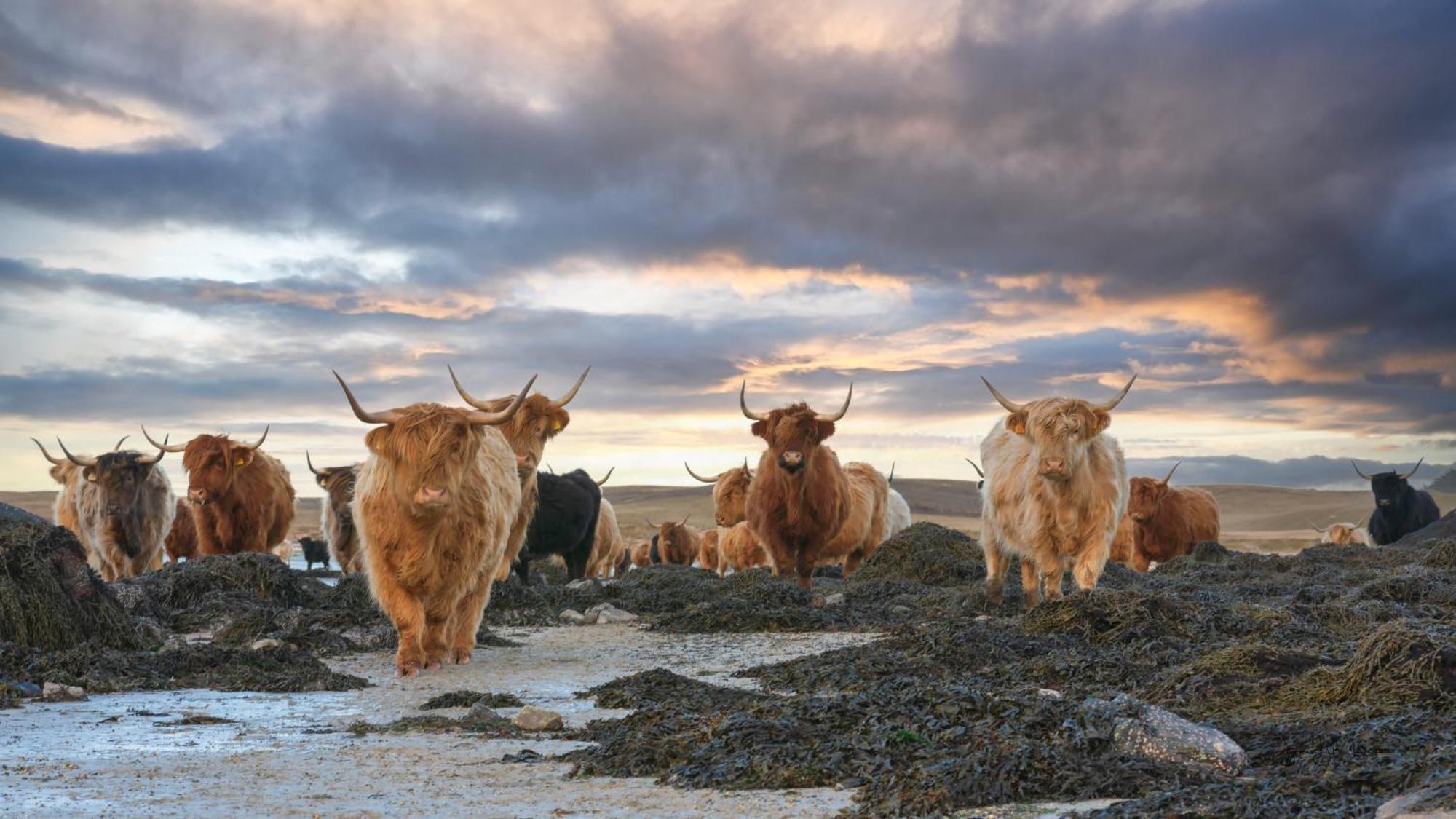 North Uist Lodges Tigharry Екстериор снимка