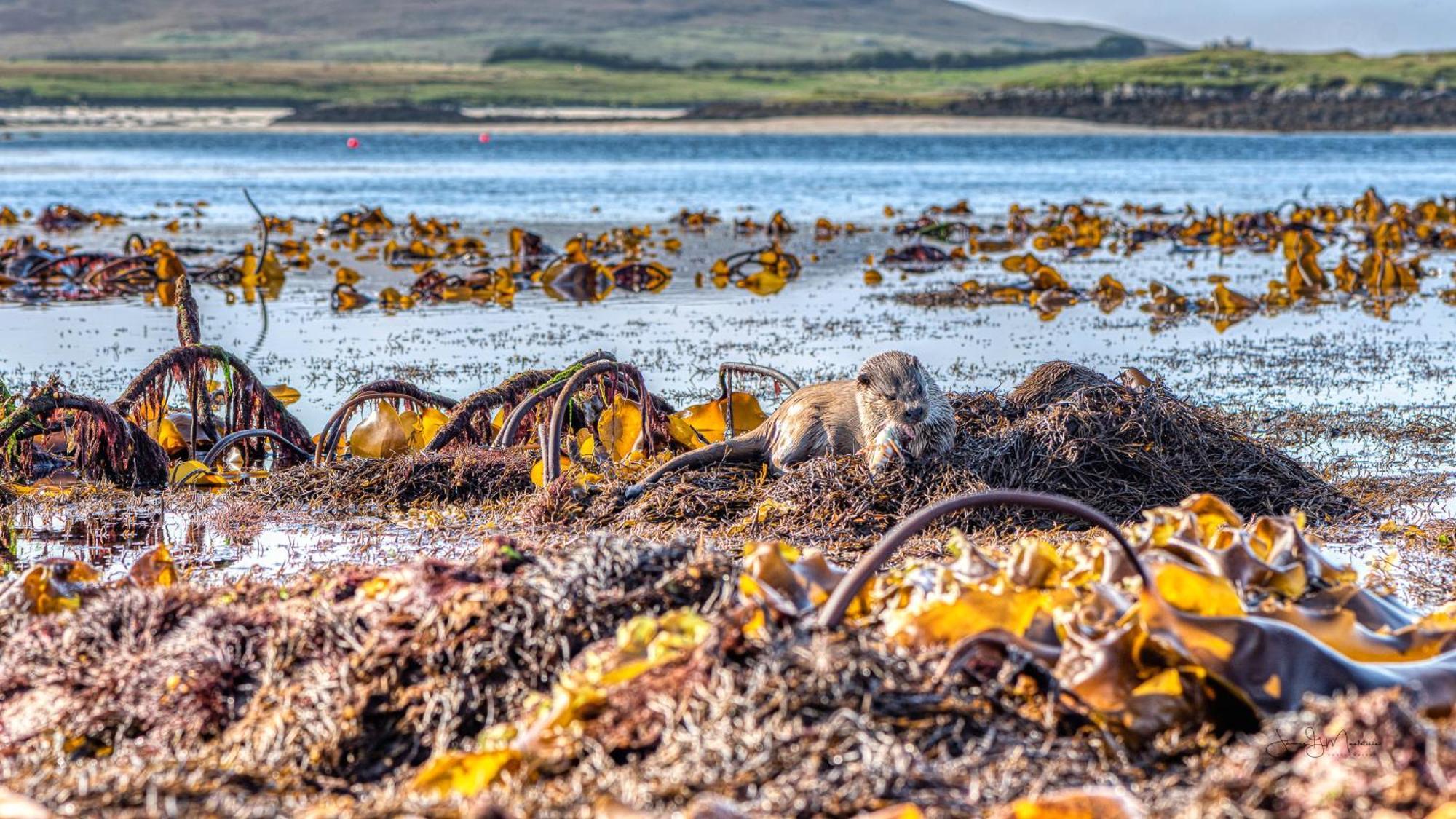 North Uist Lodges Tigharry Екстериор снимка